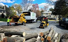 Best Tree Preservation Services  in Hatch, NM