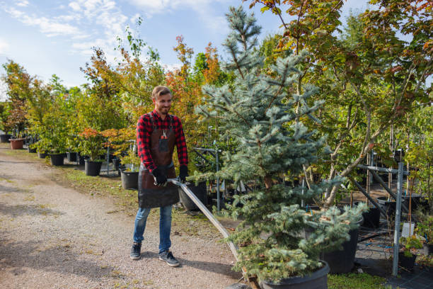 Best Commercial Tree Services  in Hatch, NM